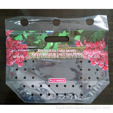 Fruit Resealable Bag with Customized Designs and Logos Welcomed
